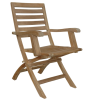 Andrew Folding Armchair (sell & price per 2 chairs only)