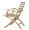 Andrew Folding Armchair (sell & price per 2 chairs only)