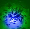 Blue/Green Mega-Watt Iris Underwater LED Lighting System